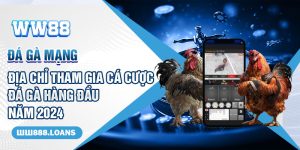 Đá Gà Mạng - Địa chỉ tham gia cá cược đá gà hàng đầu năm 2024