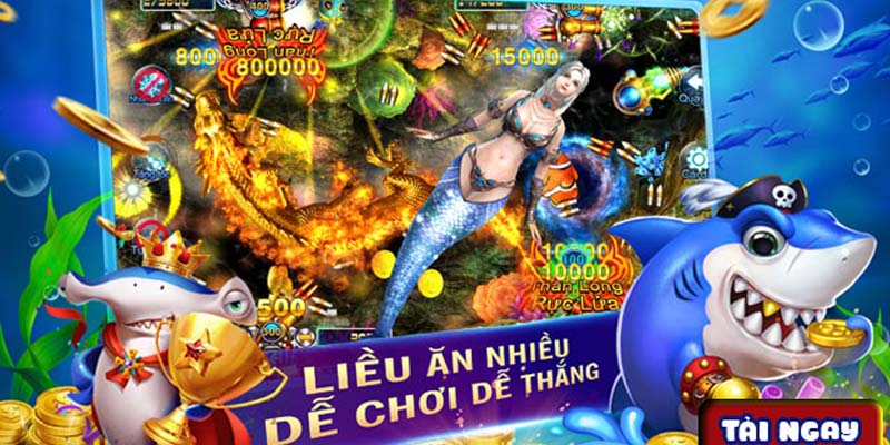 Giới thiệu về bắn cá Bingo 