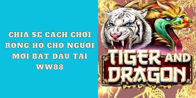 Chia sẻ cách chơi Rồng Hổ cho người mới bắt đầu tại WW88